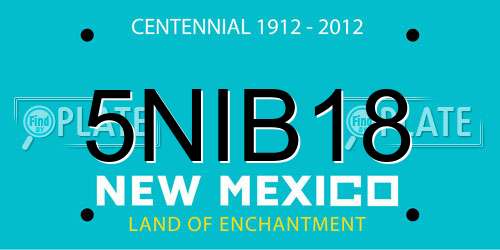 5NIB18 New Mexico License Plate