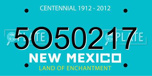 5O50217 New Mexico License Plate