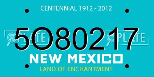 5O80217 New Mexico License Plate