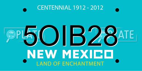 5OIB28 New Mexico License Plate