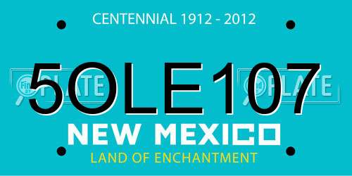 5OLE107 New Mexico License Plate