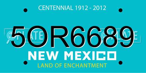 5OR6689 New Mexico License Plate