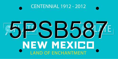 5PSB587 New Mexico License Plate
