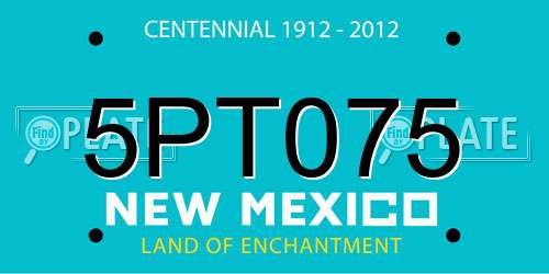 5PT075 New Mexico License Plate