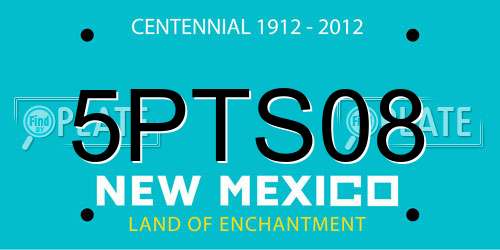 5PTS08 New Mexico License Plate