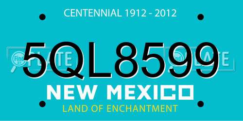 5QL8599 New Mexico License Plate