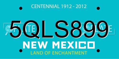 5QLS899 New Mexico License Plate
