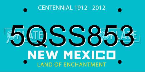 5QSS853 New Mexico License Plate