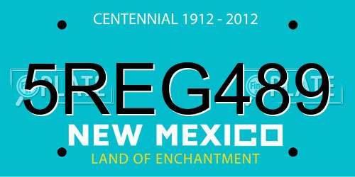 5REG489 New Mexico License Plate
