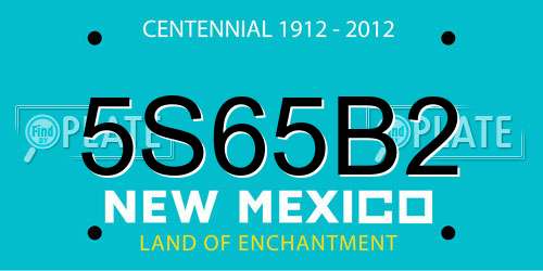 5S65B2 New Mexico License Plate