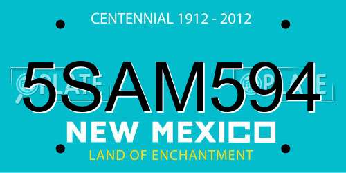 5SAM594 New Mexico License Plate