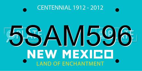 5SAM596 New Mexico License Plate