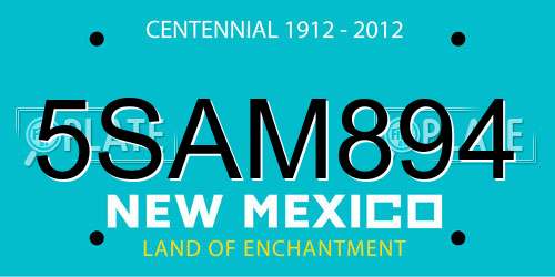 5SAM894 New Mexico License Plate