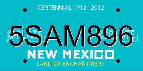 5SAM896 New Mexico License Plate