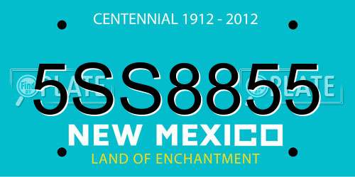 5SS8855 New Mexico License Plate