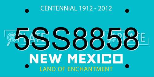 5SS8858 New Mexico License Plate