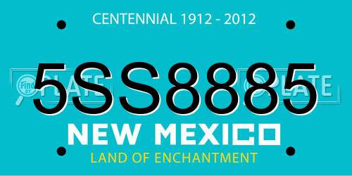 5SS8885 New Mexico License Plate