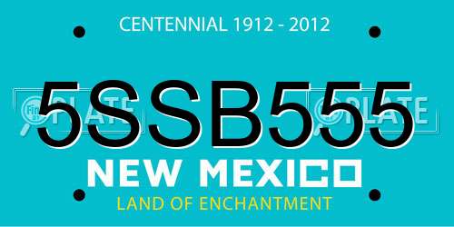 5SSB555 New Mexico License Plate