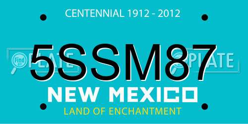 5SSM87 New Mexico License Plate