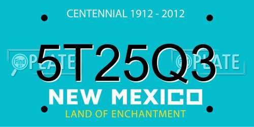 5T25Q3 New Mexico License Plate