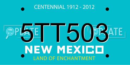 5TT503 New Mexico License Plate