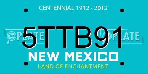 5TTB91 New Mexico License Plate