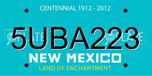 5UBA223 New Mexico License Plate