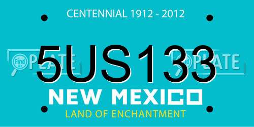 5US133 New Mexico License Plate