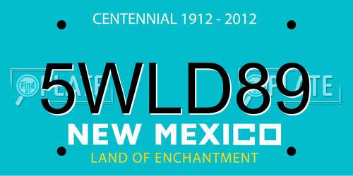 5WLD89 New Mexico License Plate
