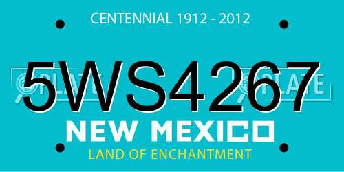 5WS4267 New Mexico License Plate
