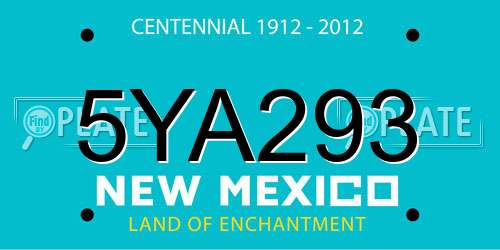 5YA293 New Mexico License Plate
