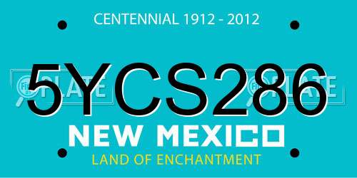 5YCS286 New Mexico License Plate