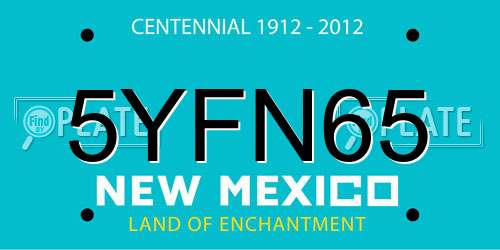 5YFN65 New Mexico License Plate