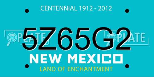 5Z65G2 New Mexico License Plate
