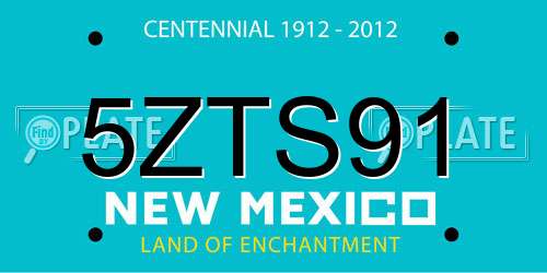 5ZTS91 New Mexico License Plate