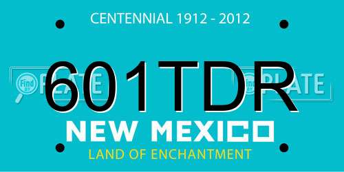 601TDR New Mexico License Plate