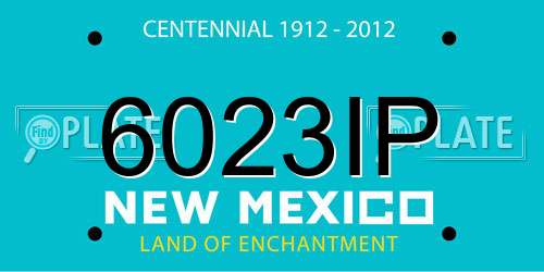 6023IP New Mexico License Plate