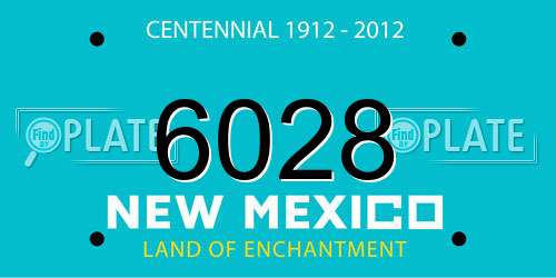 6028 New Mexico License Plate