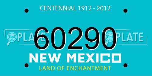 60290 New Mexico License Plate