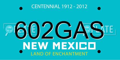 602GAS New Mexico License Plate