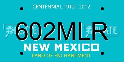 602MLR New Mexico License Plate