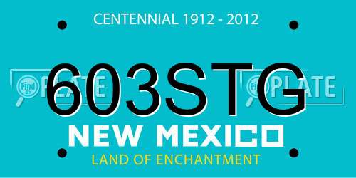 603STG New Mexico License Plate