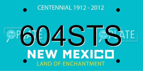 604STS New Mexico License Plate