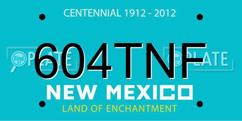 604TNF New Mexico License Plate