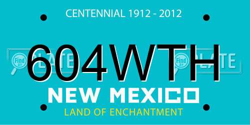 604WTH New Mexico License Plate