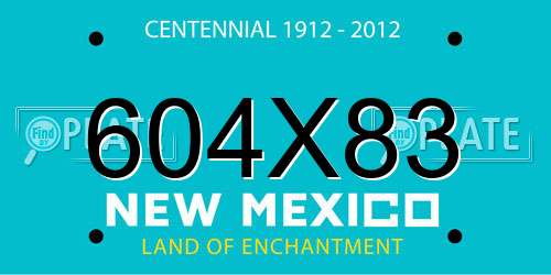 604X83 New Mexico License Plate