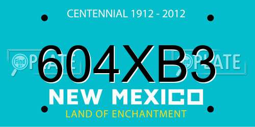 604XB3 New Mexico License Plate
