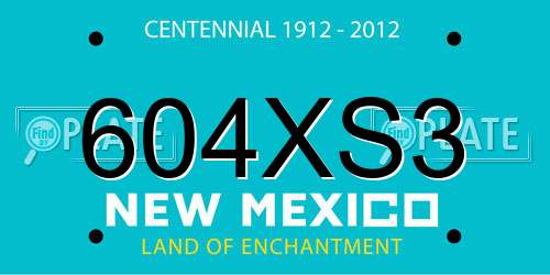 604XS3 New Mexico License Plate