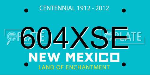 604XSE New Mexico License Plate