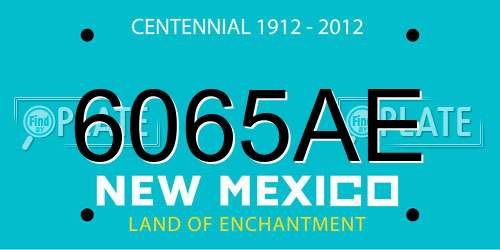 6065AE New Mexico License Plate